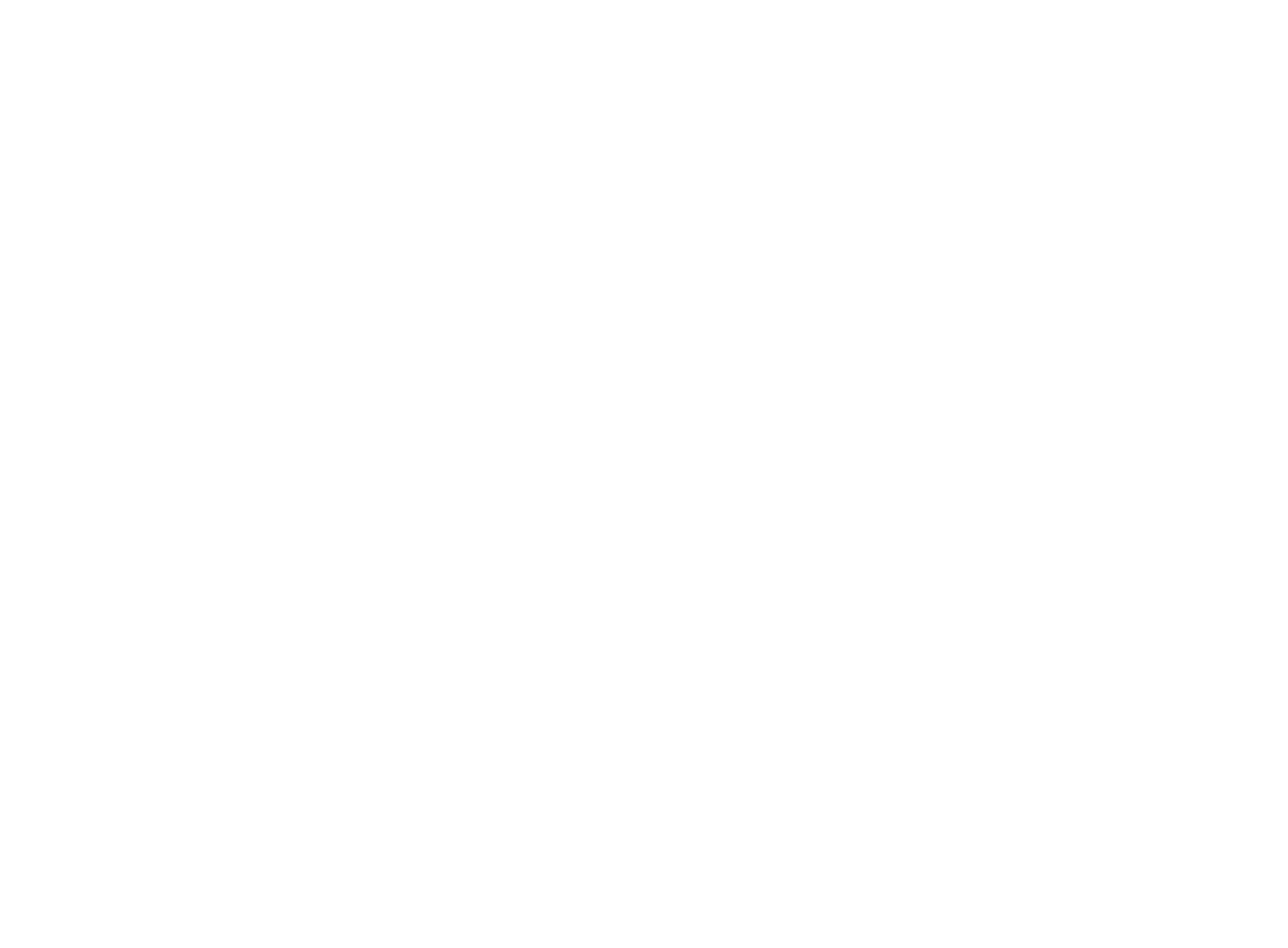 Vincere Investment Group